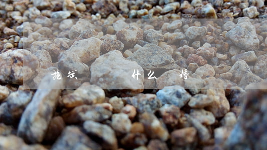 施斌吳靜為什么離婚