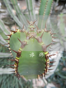 旅游保险要注意六个误区是什么