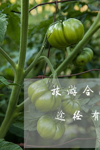 旅游合同纠纷应该如何处理(旅游纠纷解决的途径有哪些)