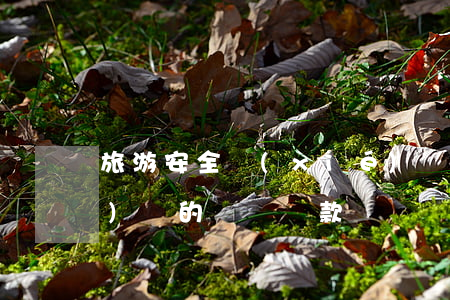 旅游安全協(xié)議書(旅游協(xié)議的簽訂條款)