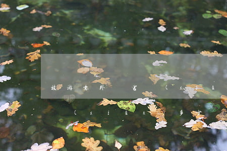 旅游意外傷害險(xiǎn)(旅游意外傷害險(xiǎn)多少錢)