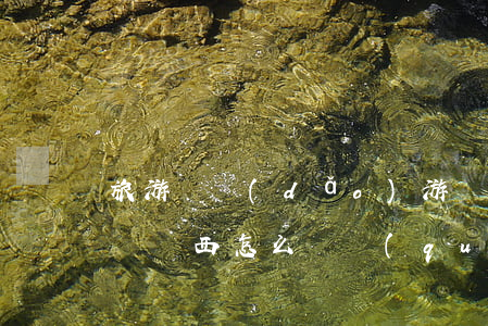 旅游時導(dǎo)游強(qiáng)迫買東西怎么維權(quán)