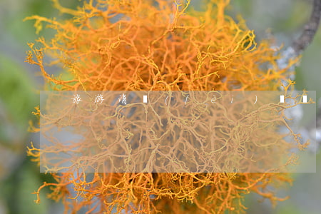 旅游消費(fèi)糾紛中游客舉證困難
