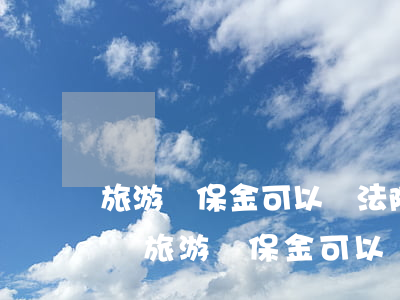 旅游質保金可以讓法院強制執(zhí)行嗎(旅游質保金可以讓法院強制執(zhí)行嗎)
