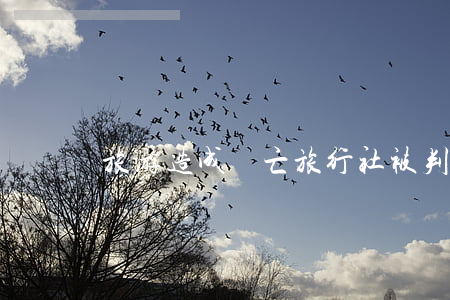 旅游造成傷亡 旅行社被判賠償