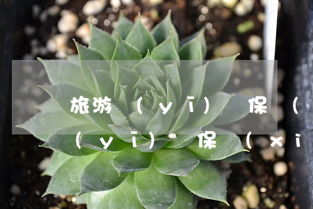 旅游醫(yī)療保險(xiǎn)(旅游醫(yī)療保險(xiǎn)怎么買)