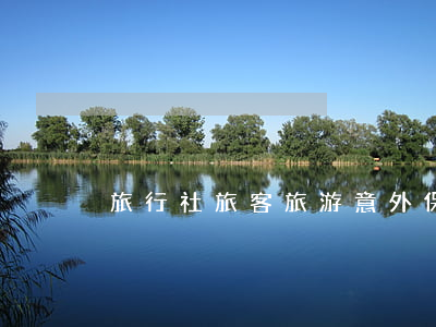 旅行社旅客旅游意外保險合同