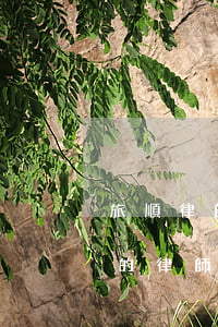旅順律師事務(wù)所在哪里(旅順最有名的律師)