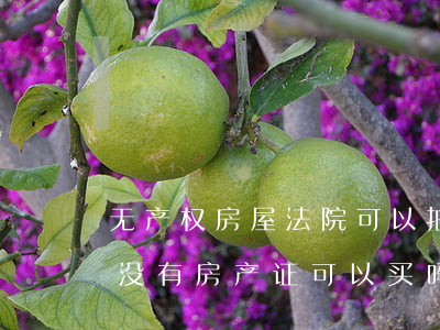 无产权房屋法院可以拍卖吗(法院拍卖的房屋没有房产证可以买吗)
