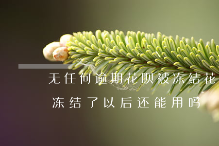 无任何逾期花呗被冻结(花呗没有逾期怎么被冻结了以后还能用吗)