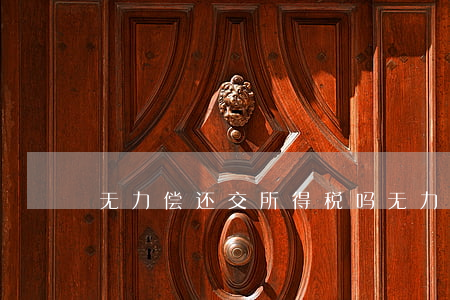 无力偿还交所得税吗(无力缴纳税款)