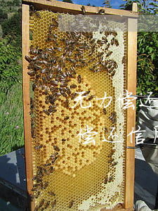无力偿还信用卡本金4700元后果-无力偿还信用卡本金4700元后果是什么