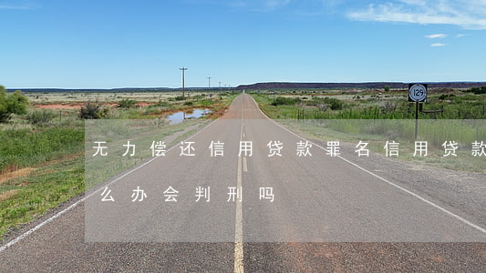 无力偿还信用贷款罪名(信用贷款无力偿还怎么办 会判刑吗?)