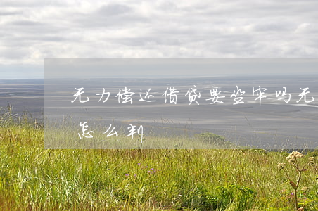 无力偿还借贷要坐牢吗(无力偿还贷款法院会怎么判)