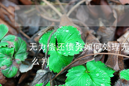 无力偿还债务如何处理(无力偿还债务法院怎么判)