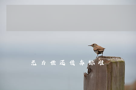 无力偿还债务标准