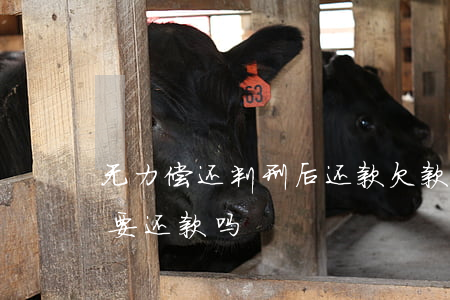 无力偿还判刑后还款(欠款还不上,判刑后还需要还款吗?)