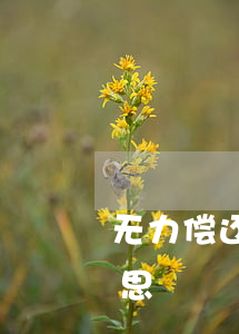 无力偿还到期美元债(美元债务无上限什么意思)