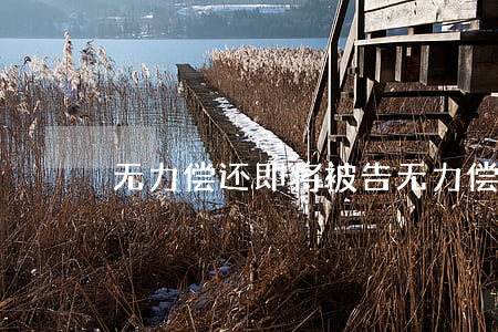 无力偿还即将被告(无力偿还即将被告起诉)