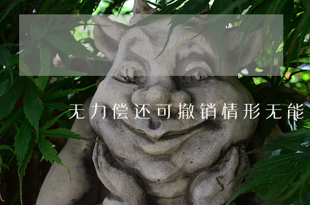无力偿还可撤销情形(无能力偿还说明书)