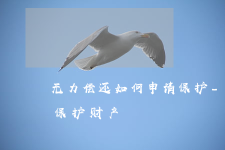无力偿还如何申请保护-无力偿还如何申请保护财产