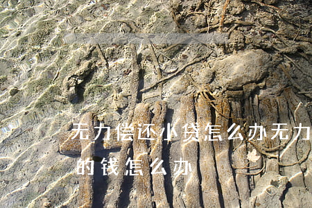 无力偿还小贷怎么办(无力偿还小额贷款公司的钱怎么办)