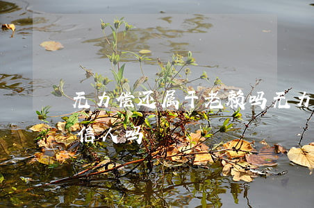 无力偿还属于老赖吗(无力偿还债务被列入失信人吗)