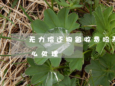 无力偿还拘留收费吗(无力偿还拘留收费吗怎么处理)