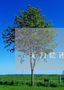 无力偿还欠款算老赖吗(无力偿还是老赖吗)