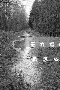 无力偿还法院判的债务(无力偿还法院判的债务怎么处理)