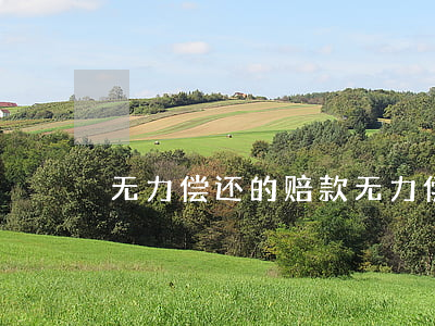 无力偿还的赔款 无力偿还的赔款要交税吗