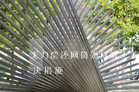 无力偿还网贷如何解决(无力偿还网贷如何解决措施)