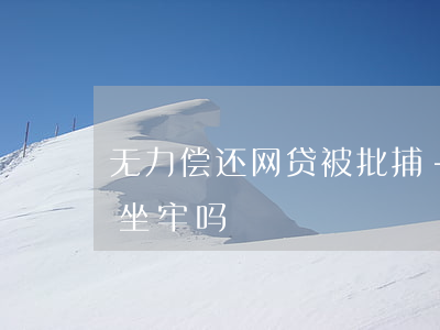 无力偿还网贷被批捕-网贷无力偿还贷款要坐牢吗
