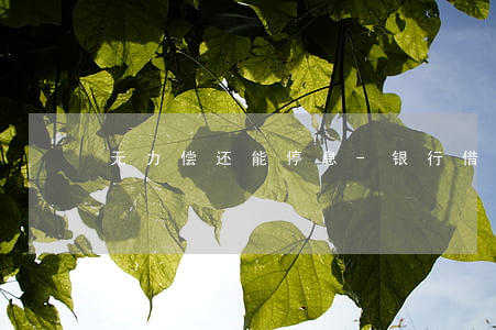 无力偿还能停息-银行借款无力偿如果停息