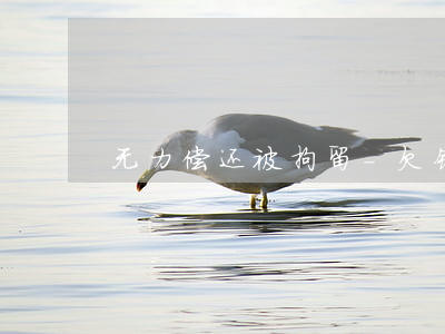无力偿还被拘留-欠钱无力偿还会拘留吗