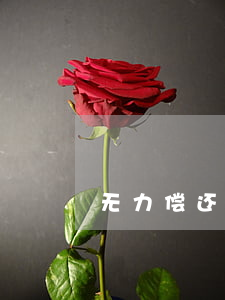 无力偿还货款打欠条（无力偿还货款打欠条）
