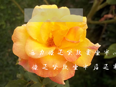 无力偿还贷款要坐牢以后还要还钱吗-无力偿还贷款坐牢后还需要还吗