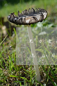 无力偿还贷款违法吗-无力偿还贷款违法吗怎么处理