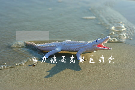 无力偿还高额医疗费