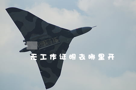 无工作证明去哪里开