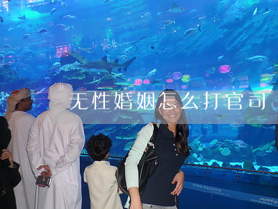 无性婚姻怎么打官司