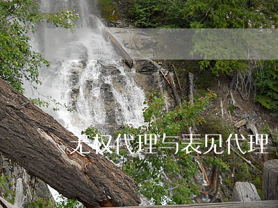 无权代理与表见代理