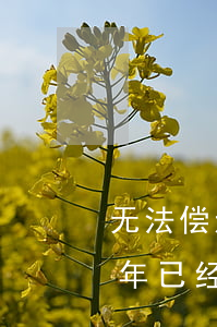 无法偿还花呗逾期一年了(有没有花呗逾期两年已经还了,有影响吗)
