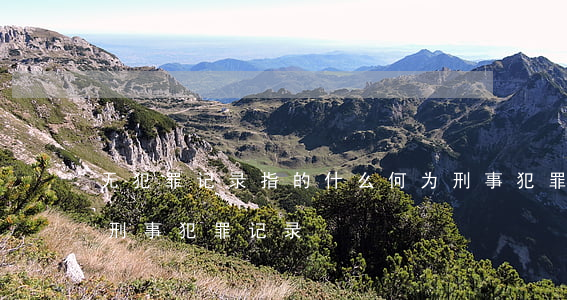 无犯罪记录指的什么,何为刑事犯罪记录（何为刑事犯罪记录）