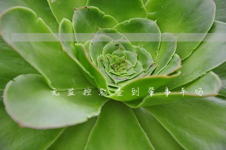 无监控能查到肇事车吗