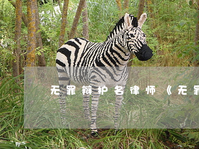 无罪辩护名律师(《无罪辩护》)