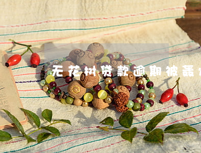 无花树贷款逾期被轰炸