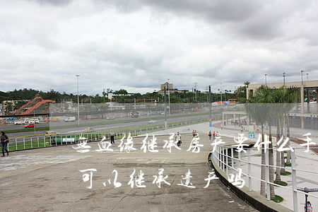 无血缘继承房产要什么手续(无血缘关系的人可以继承遗产吗)