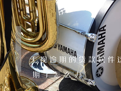 无视逾期的贷款软件(这种正规app贷款逾期了怎么办)