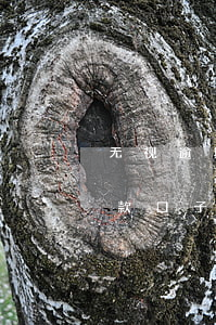 无视逾期秒下的贷款口子(无视逾期秒下的贷款口子)